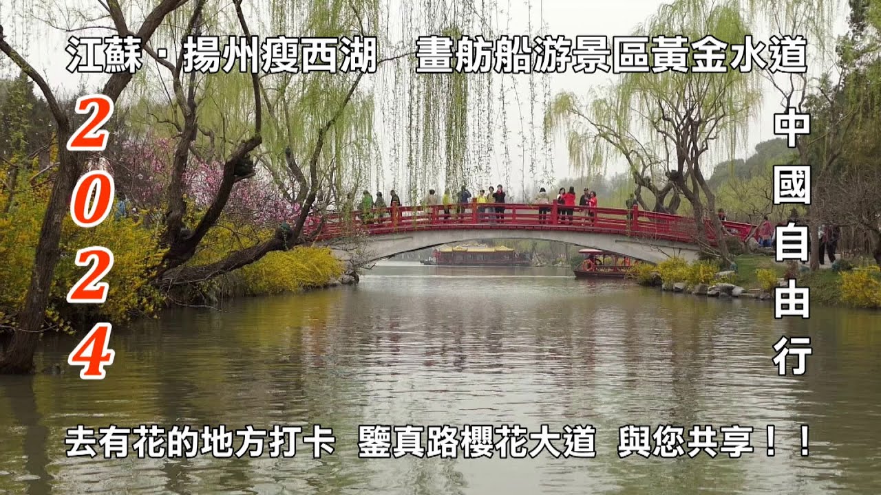 2024江蘇‧揚州 瘦西湖畫舫船游黃金水道 鑒真路櫻花大道雨中遊 與您共享！！
