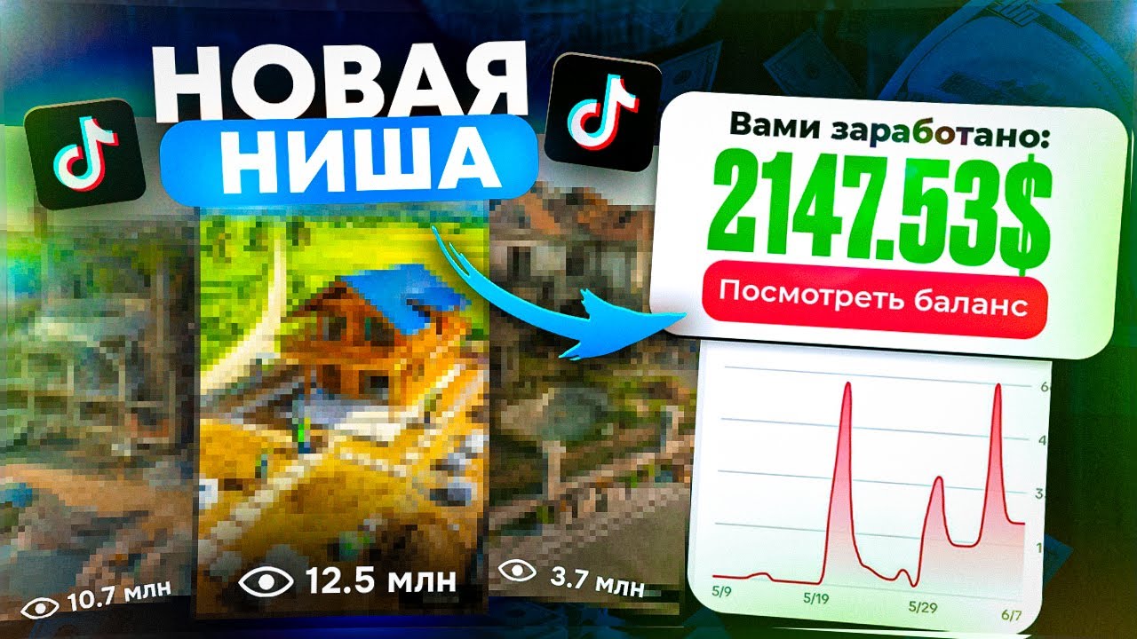 НОВАЯ НИША для заработка | TikTok МОНЕТИЗАЦИЯ.