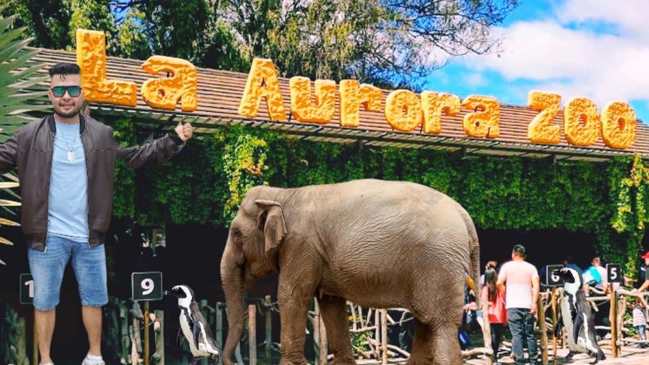 LA AURORA /ZOOLÓGICO/ GUATEMALA| 2023
