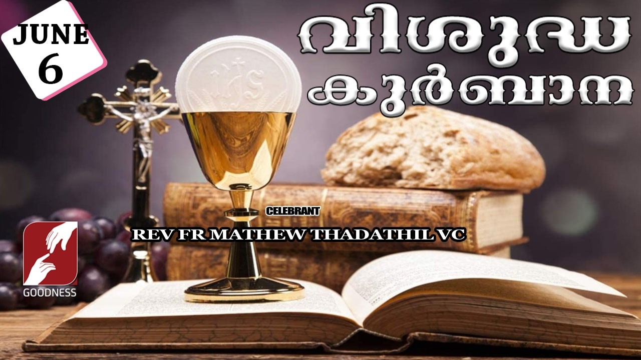 HOLY MASS LIVE @ 6 AM, 06 JUNE 2026|FR MATHEW THADATHIL VC|MALAYALAM QURBANA|TODAY MASS|GOODNESS TV