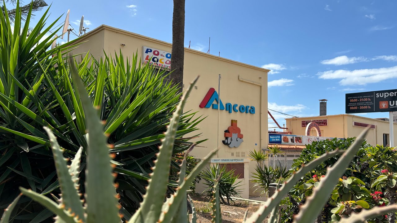 ARGUINEGUIN March 1 2024 Gran Canaria Walking Through Ancora Center 🍃 Canary Islands