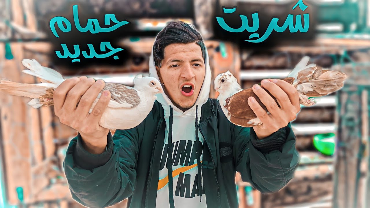 شنو شريت من السوق الحمام 🤫