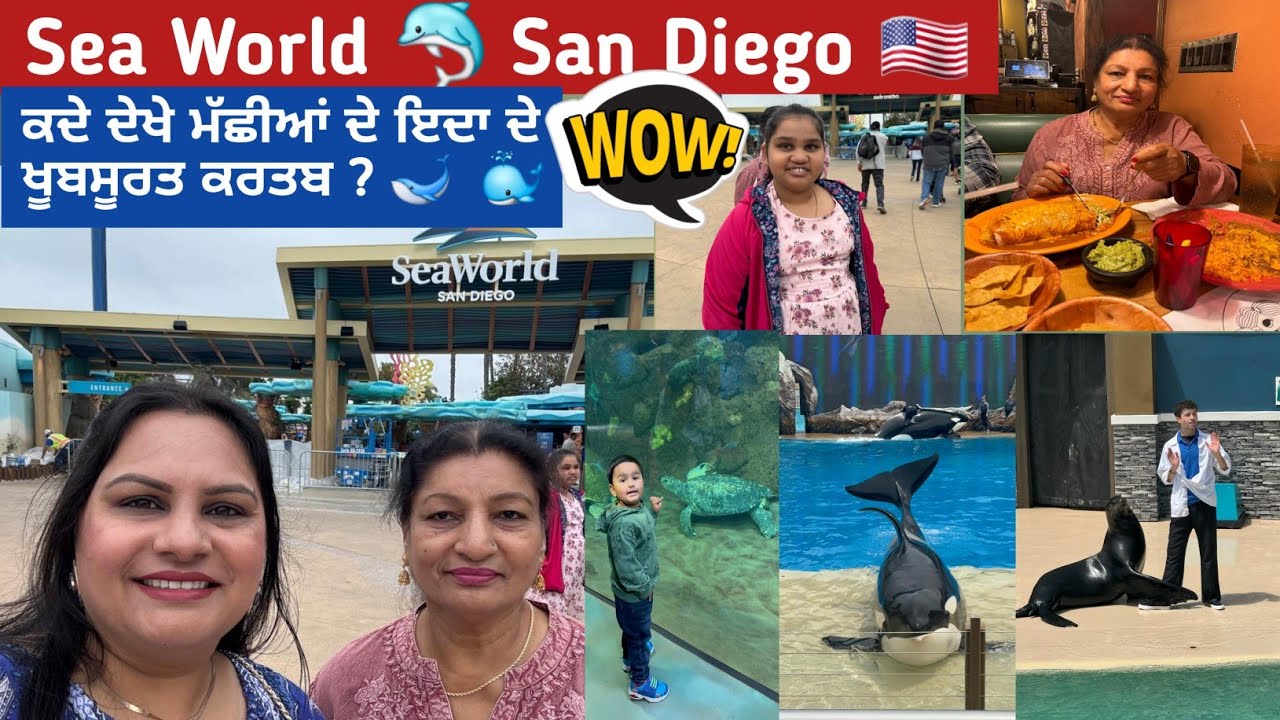 ਕਦੇ ਦੇਖੇ ਮੱਛੀਆਂ ਦੇ ਇਦਾ ਦੇ ਖੂਬਸੂਰਤ ਕਰਤਬ ? | Sea World 🐬  San Diego 🇺🇸 | Punjabi Vlog |
