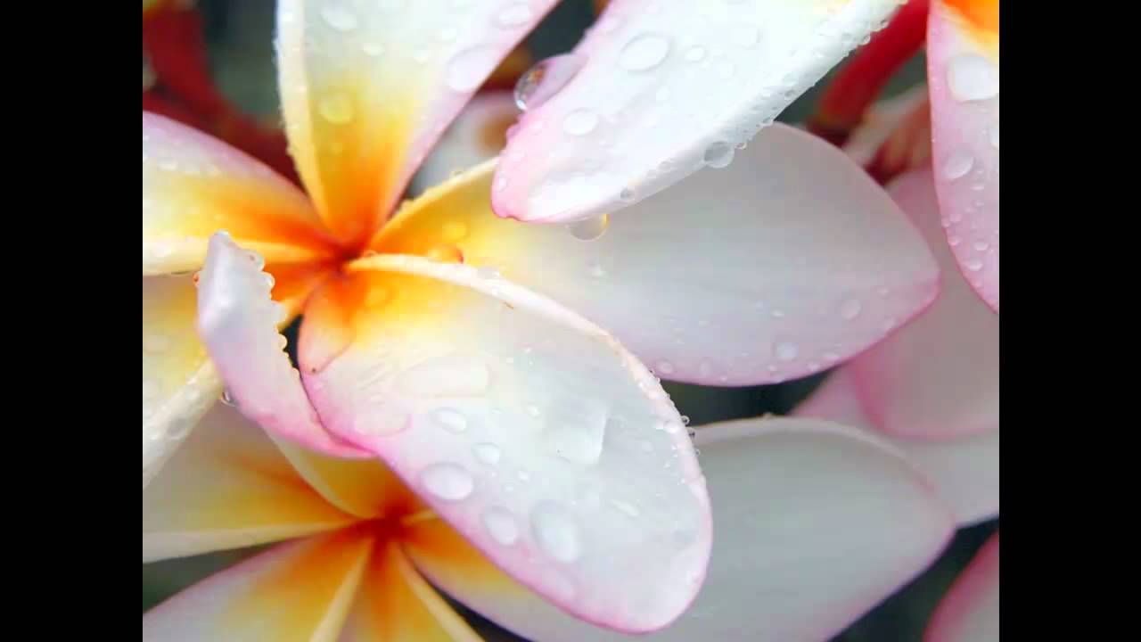 Nu:Tone feat Jenna G - Quick Love Original [HD]