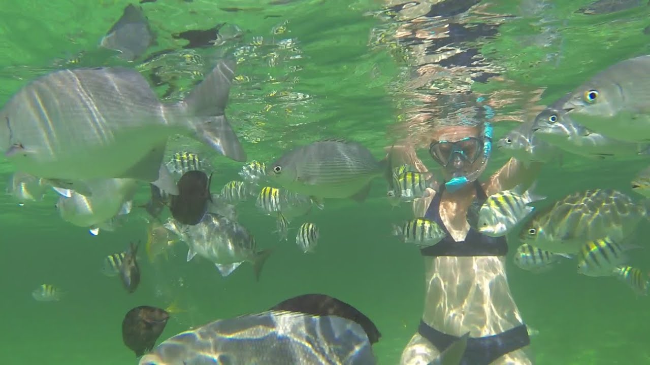 07 -  Leaving Florida & Cruising the Bahamas