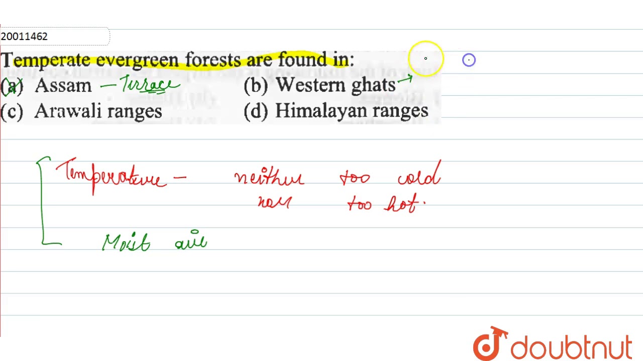 Temperate evergreen forests are found in: