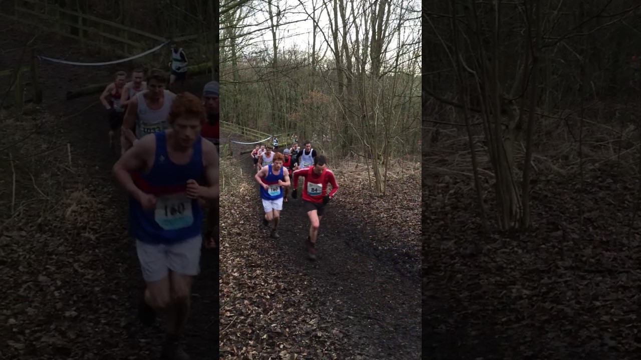 Manchester area cross country league (MACCL) 2017 Match 4, Kenworthy woods (large lap 2)