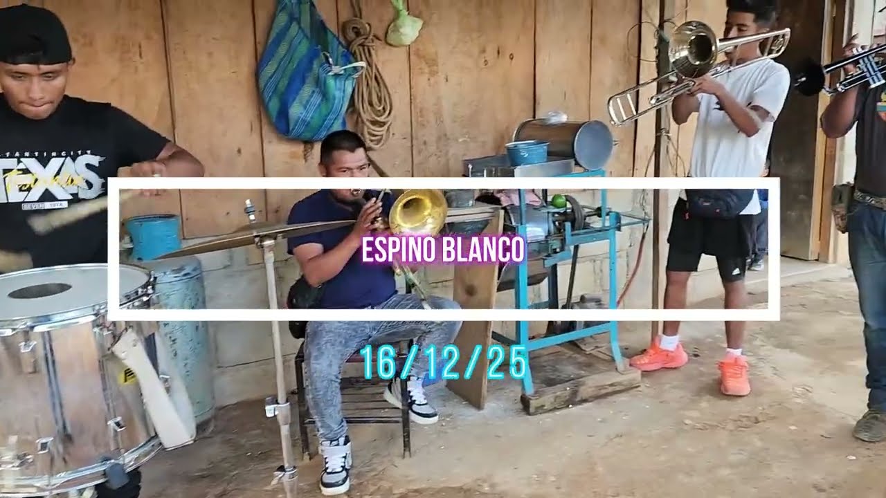 Espino Blanco, Malinaltepec, Guerrero 2025 Promesa Familiar (( Salgado Mariano ))