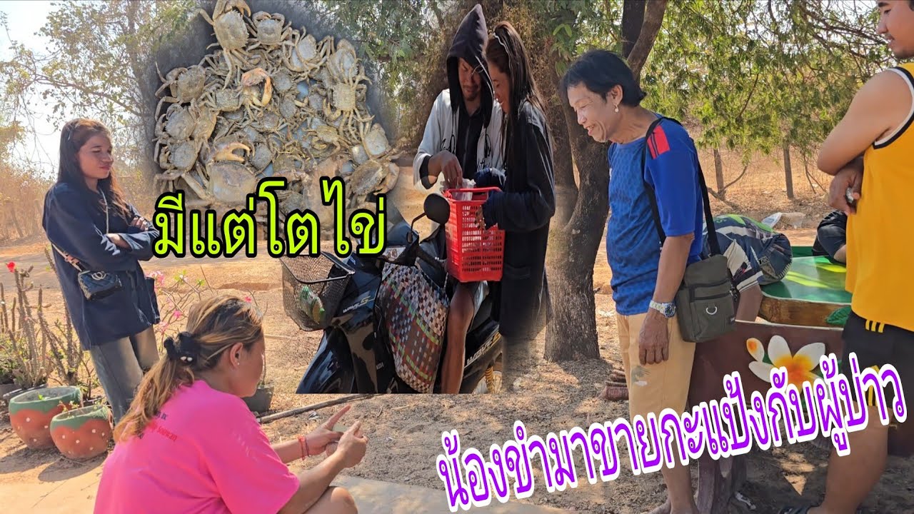 #ล่าสุดลูก8จะมาอีก🫢น้องขำควงผู้บ่าวมาขายกะแป้ง🦀🦀17 กุมภาพันธ์ ค.ศ. 2026