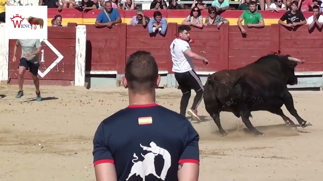 TORO DE UNIDOS POR LA AFICION CHINCHON 2019