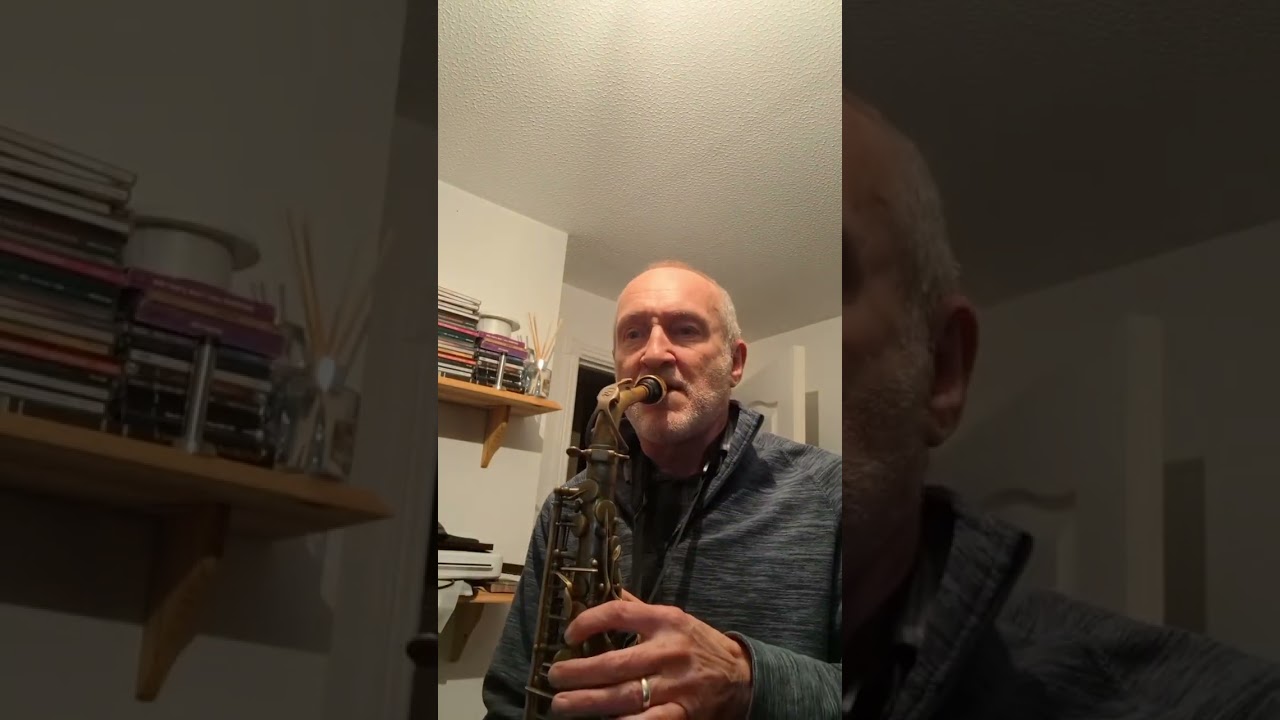Take Me Home Country Roads - sax cover 