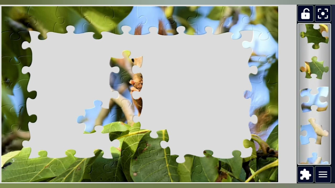 Squirrel snacking in the trees 🌳🍂  jigsaw puzzle 🧩✨ @puzzlemaster1034 