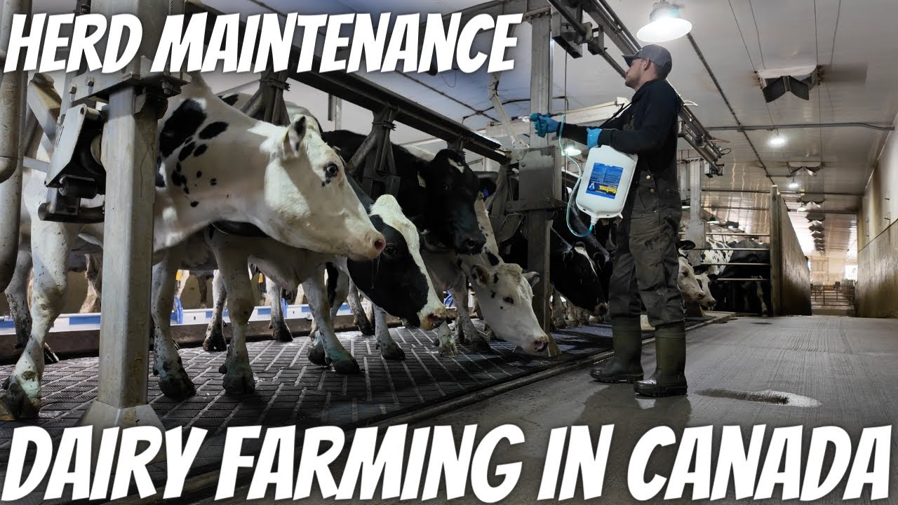Will This Work In The Parlour?