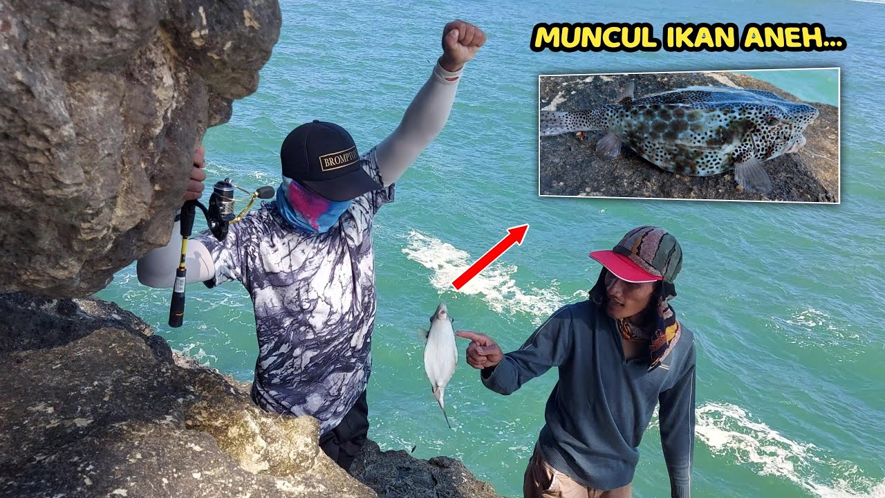 🔷️ Mancing di Spot Indah Pantai coro tulungagung ❗❗ dihajar ikan aneh