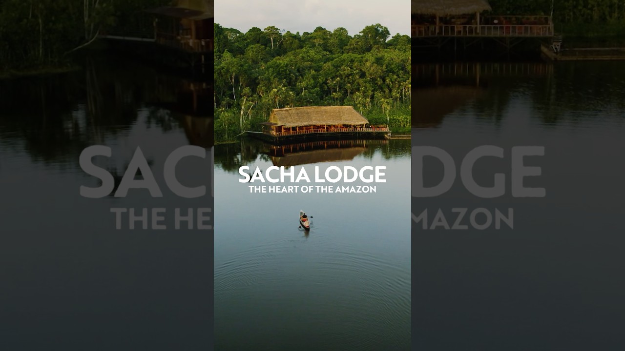 Visit the Amazon Jungle in Ecuador - Mainland Ecuador Nature Tours with Enchanted Expeditions
