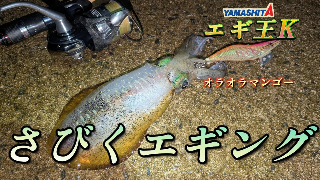 さびくエギングで低活性攻略、コレをするだけでアタリが分かりやすくなります【エギング】