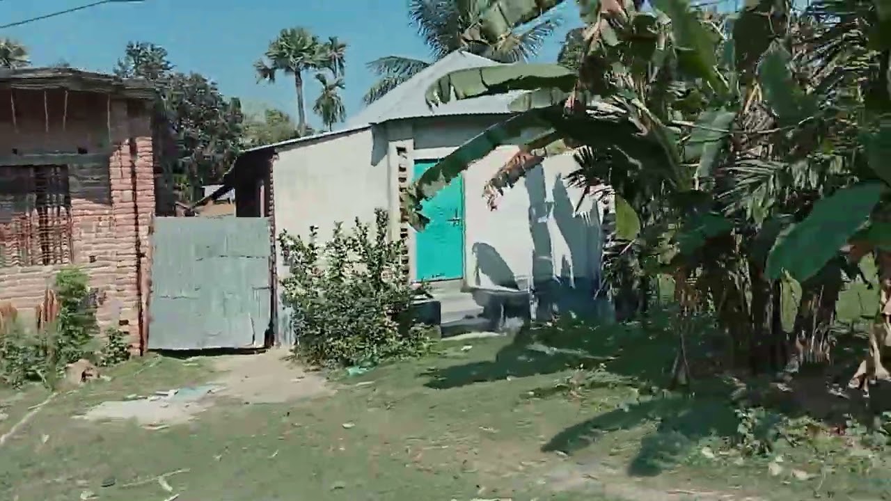 পাকা সোনালী ধান আর সবুজ ফসলের ক্ষেত