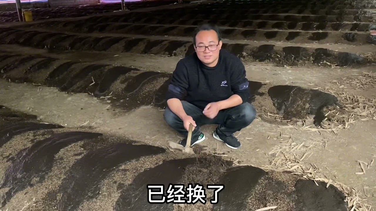 农村新型暴利赚钱养殖业，90夫妻靠养它买回豪车，看看如今怎样了