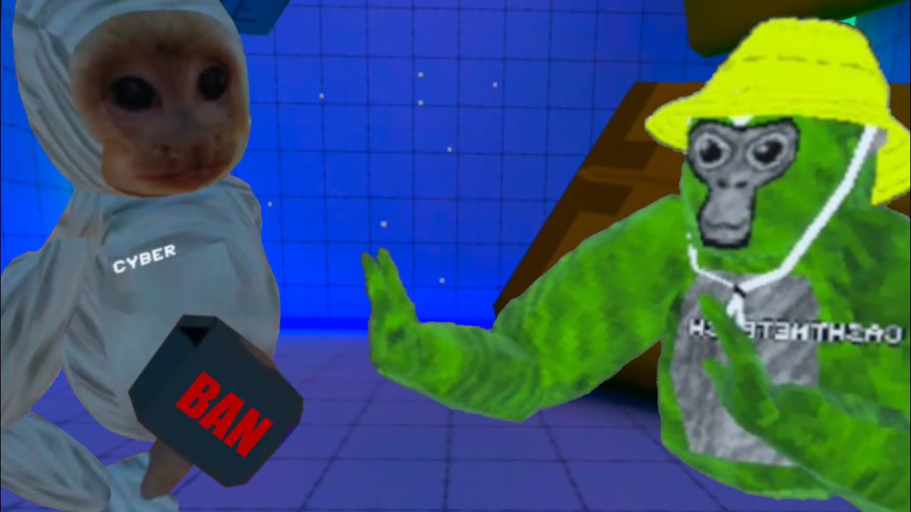 I got BANNED from capuchin.