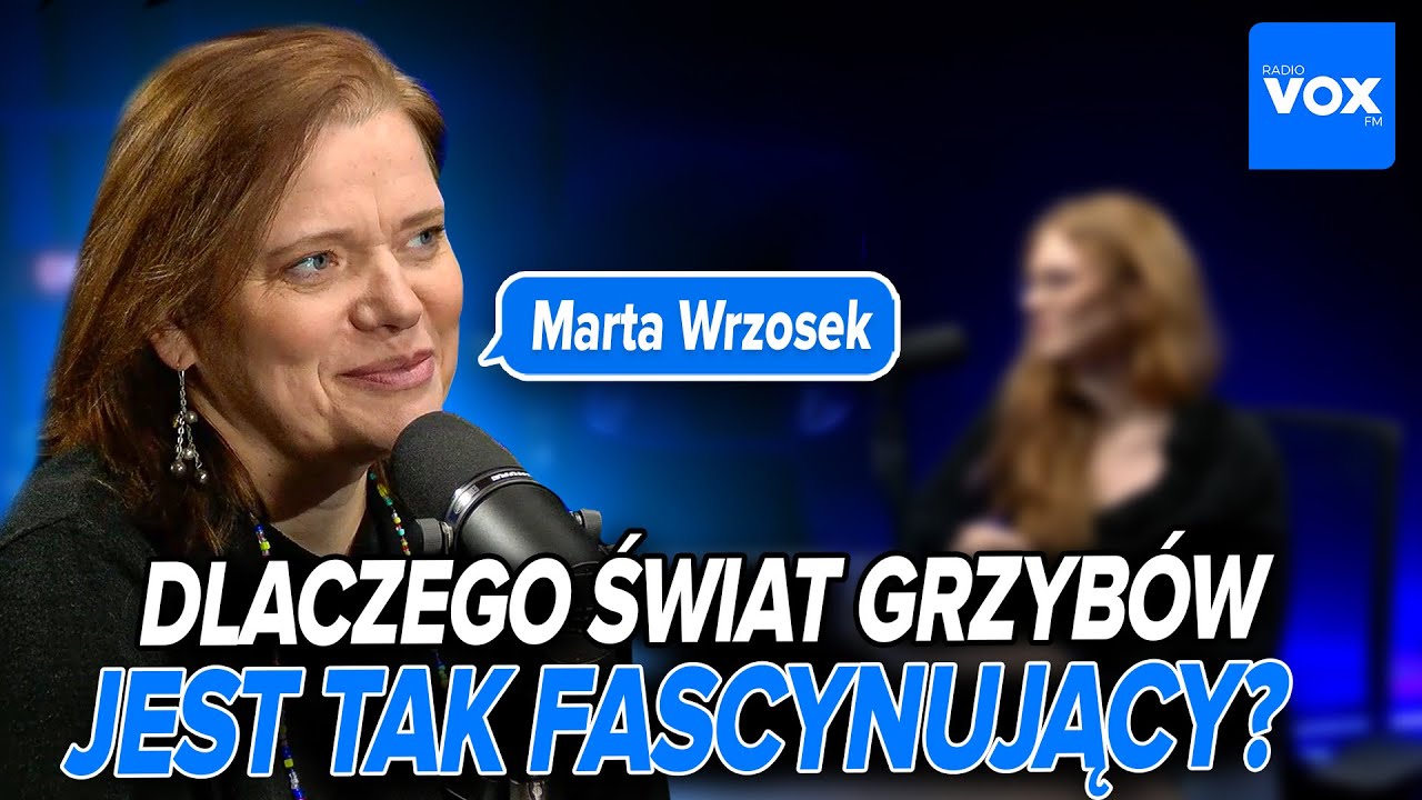 Grzyby-zombie, psychodeliki i... maślaki. Dlaczego świat grzybów jest tak fascynujący? Marta Wrzosek