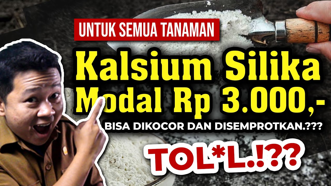 KALSIUM SILIKA BISA DISEMRPOTKAN.?? TANAMAN SUBUR pH TANAH NETRAL.