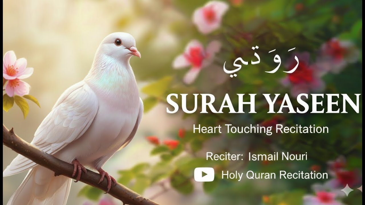 “Surah Yaseen: A Reminder That Brings Peace to the Heart”