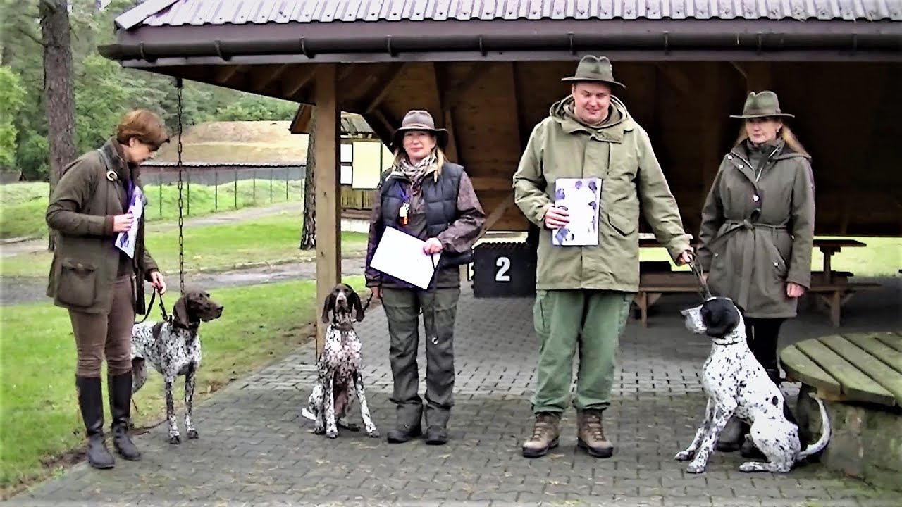 Próby pracy, test hodowlany Piotrków Trybunalski 27.09.2020