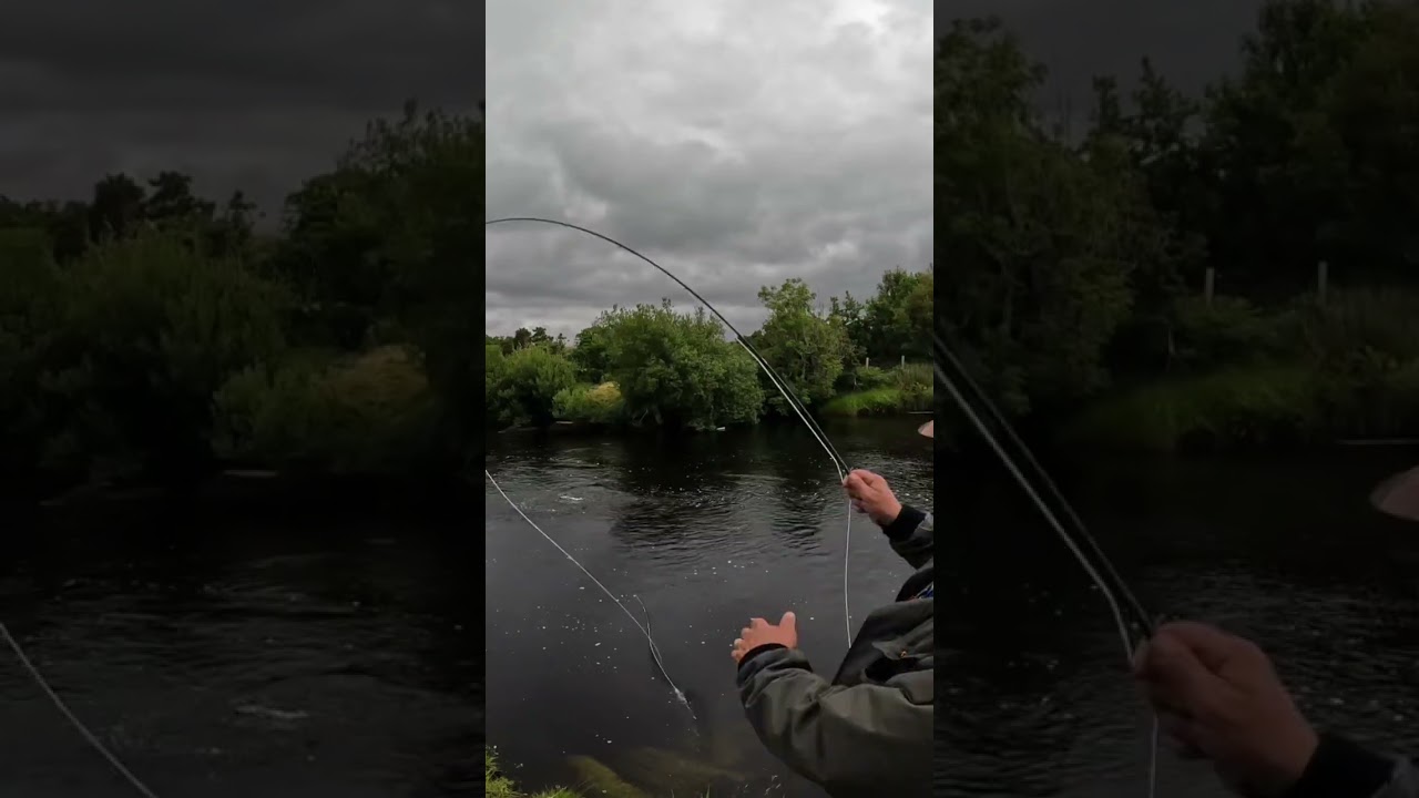сухая мушка для лосося #рыбалка в Ирландии #шорты #gopro