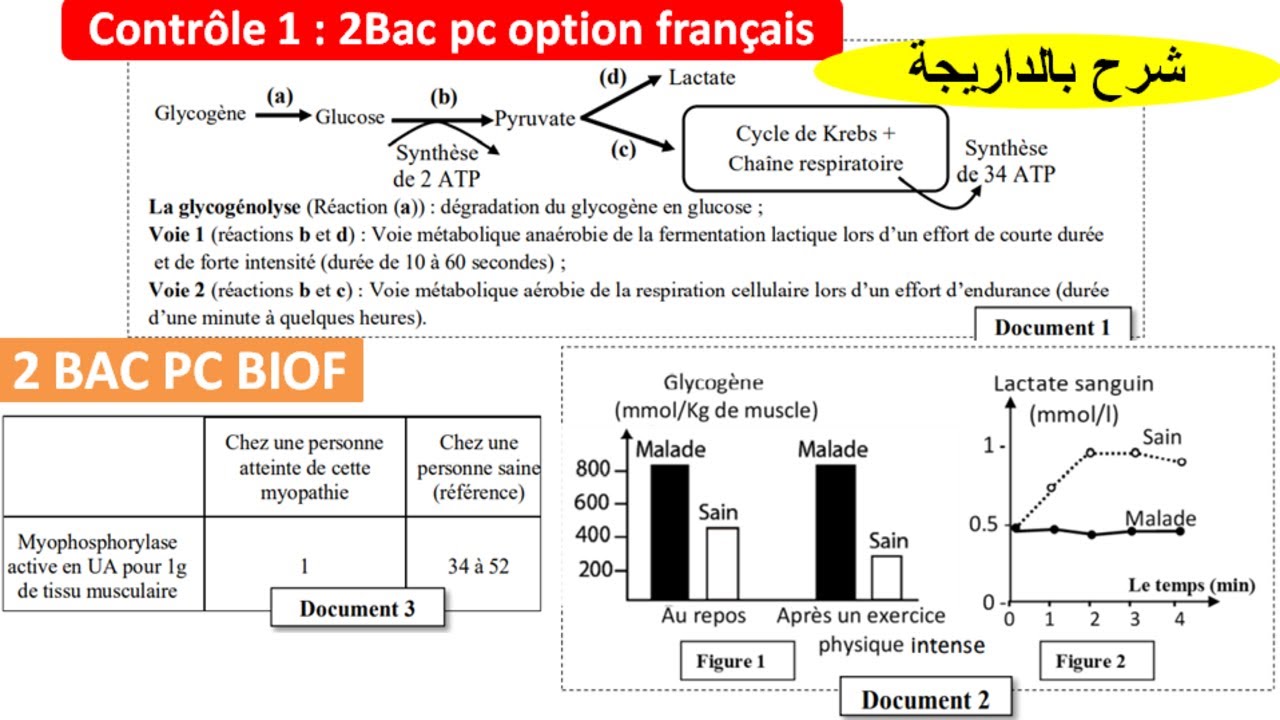 Contrôle 1 svt 2 bac pc option français (شرح بالداريجة)