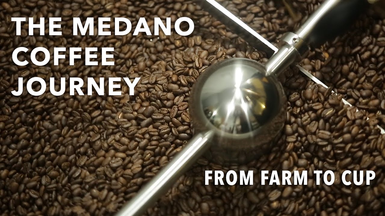 The Medano Coffee Journey - From Farm to Cup