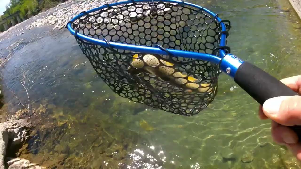 Mezz'ora in pesca