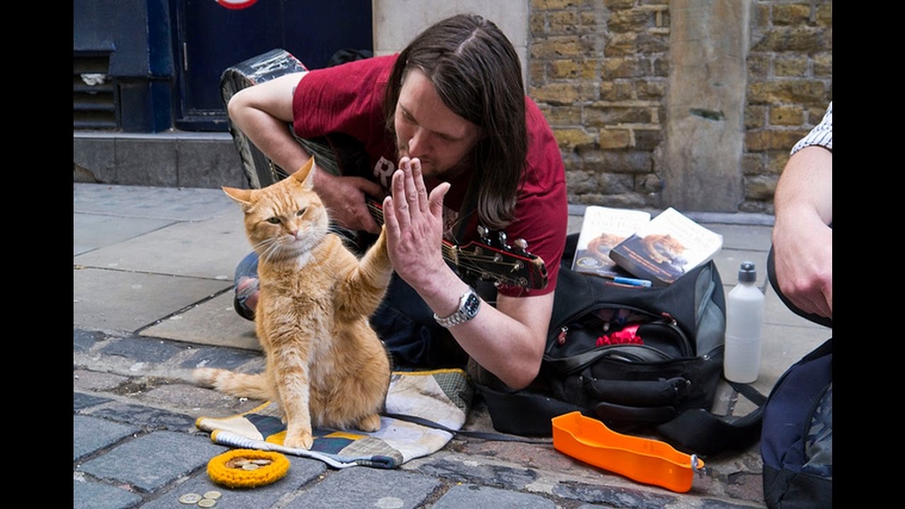 A HOMELESS MUSICIAN AND HIS CAT - HEART TOUCHING ANIMAL STORY