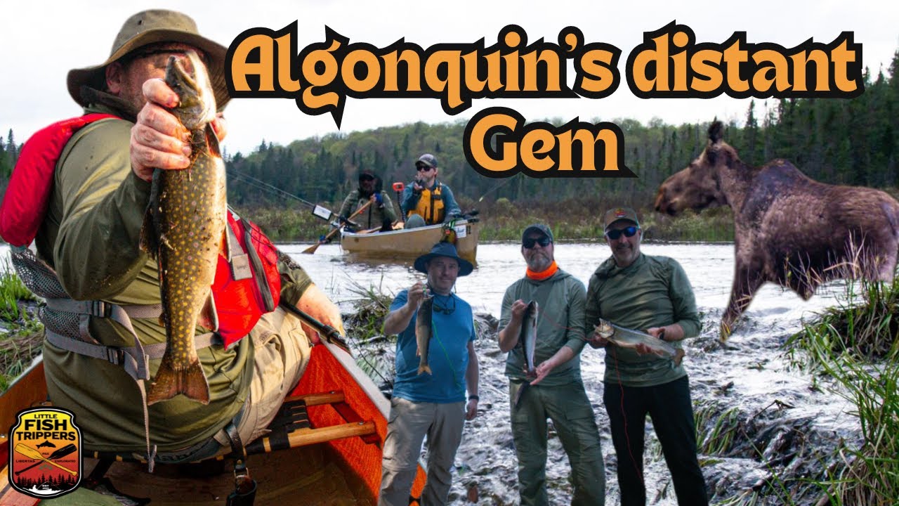 Massive Spring brook trout | 90km slog to a distant Algonquin park trout lake