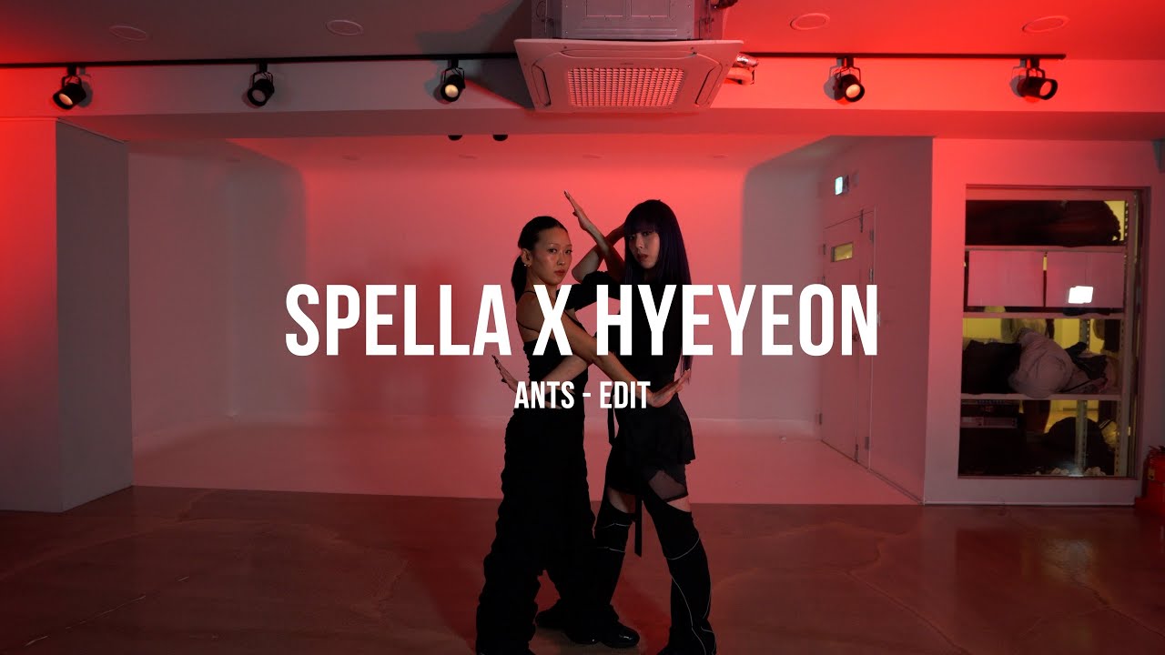 ANTS - EDIT / SPELLA X HYEYEON TUTTING / MUL ACADEMY