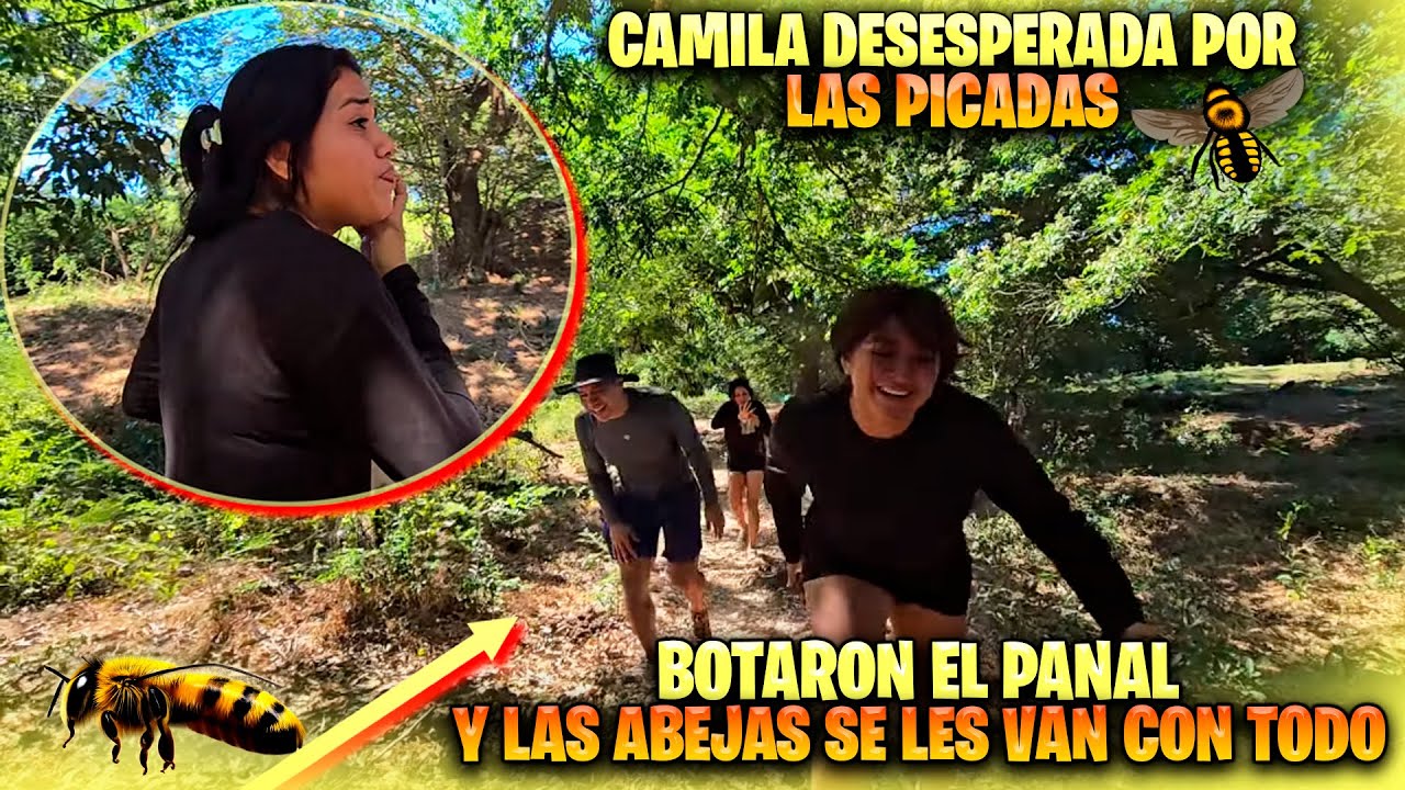 CORRAN! Que carrera le sacaron las avispas a los bichos. Camila las pagó caro por quedarse atras.