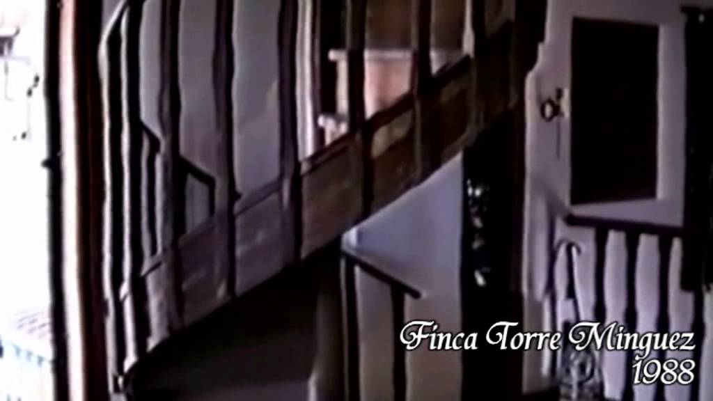 Finca Torre Mínguez 1988 Santiago de la Ribera