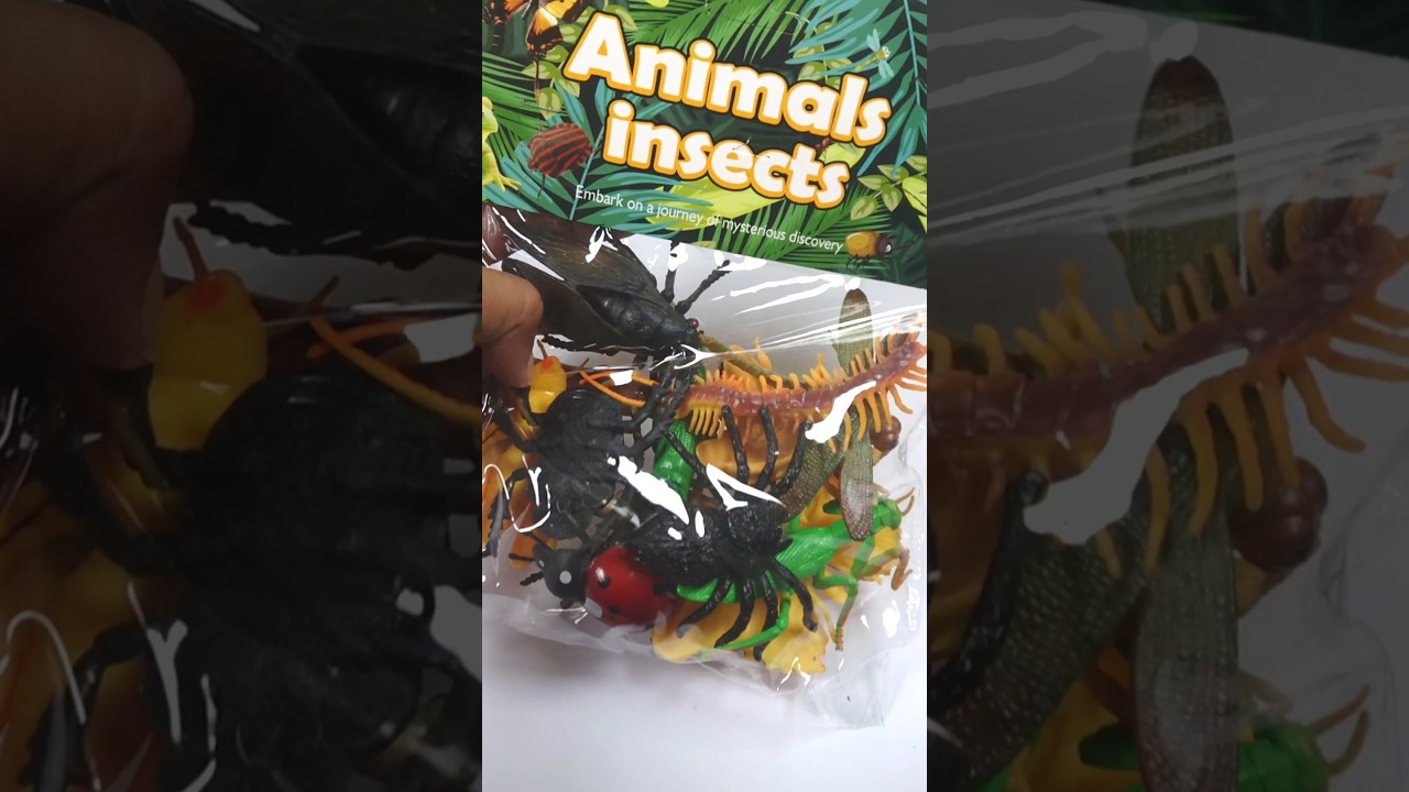 Ladybirds, Spiders & Creepy Crawlies, dragonfly - Insect Toys Collection #asmr #insect #animals