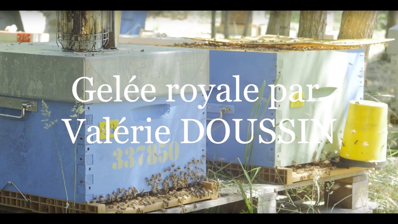 Production de la gelée royale