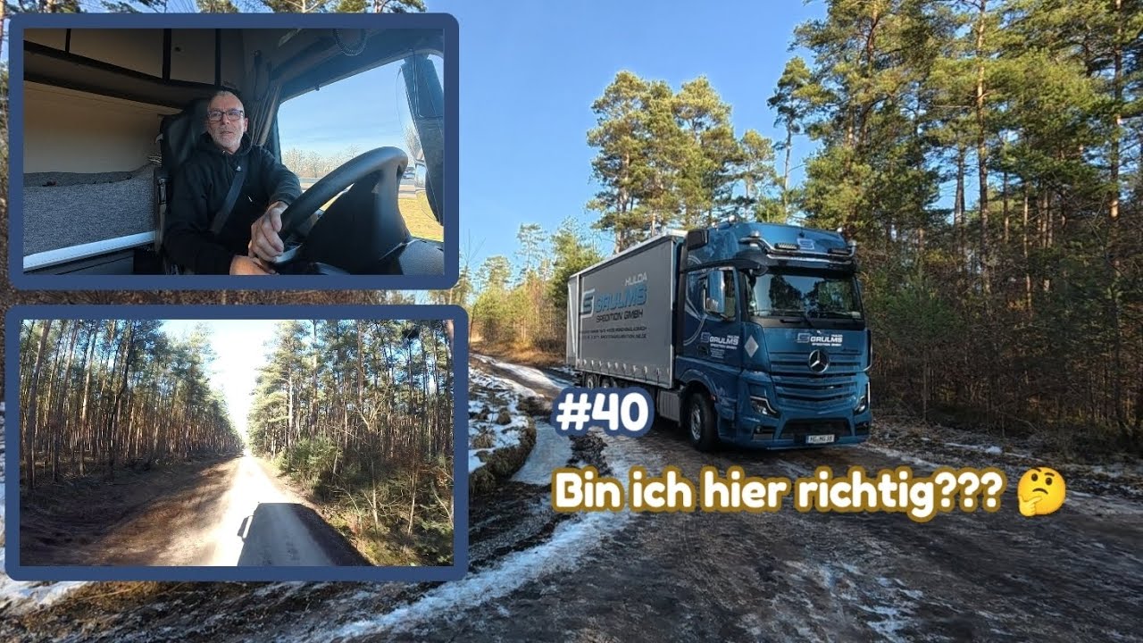 #40  Eine Kranentladung...im Wald? 😳 #fernfahreralltag