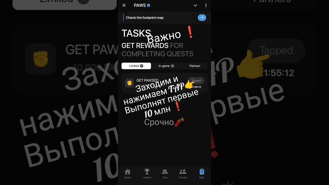 Квест PAWS прохождение 4-5 декабря 2024 #квест #павс #игра #paws #gaming #games