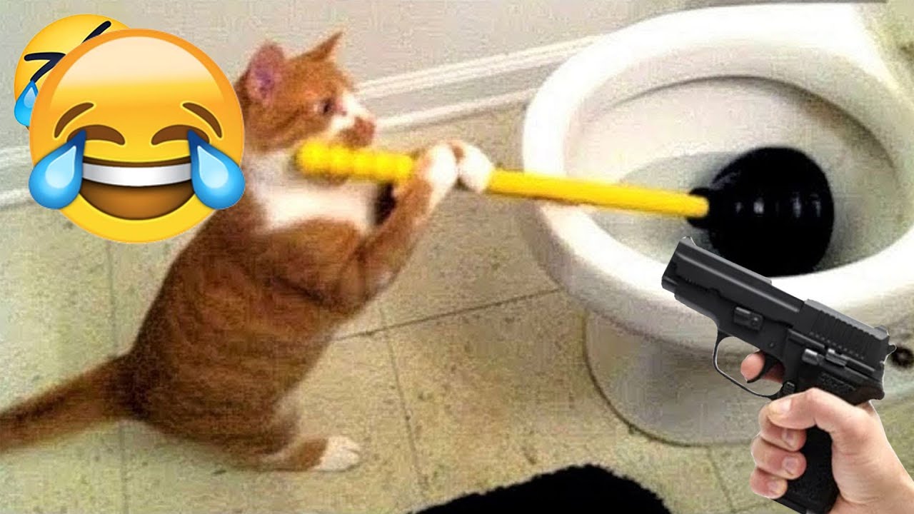 You Laugh You Lose 😹🐶 Funniest Cats and Dogs 2026 🧄 Part #02