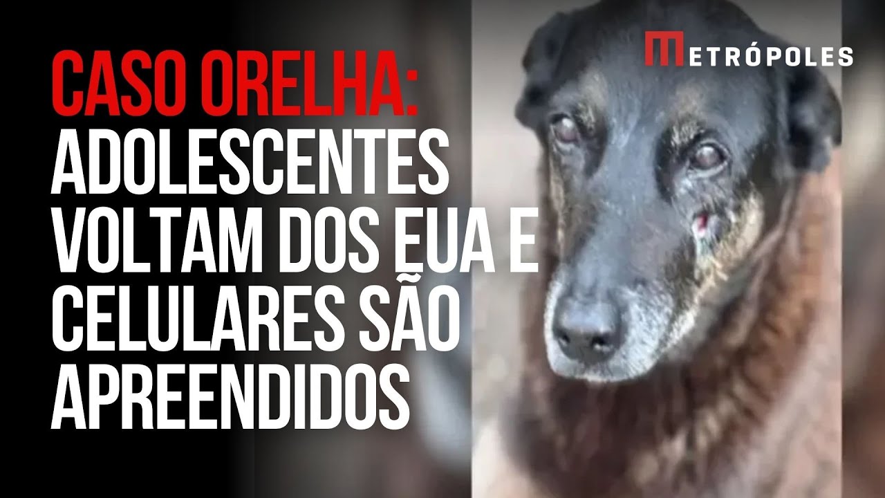 Cão Orelha: adolescentes voltam dos EUA e têm celulares apreendidos