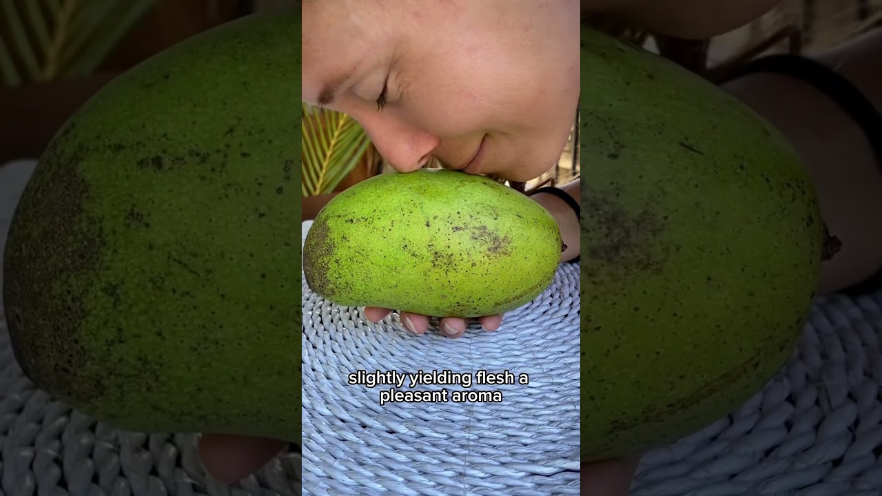 Jak wybrać najlepsze mango