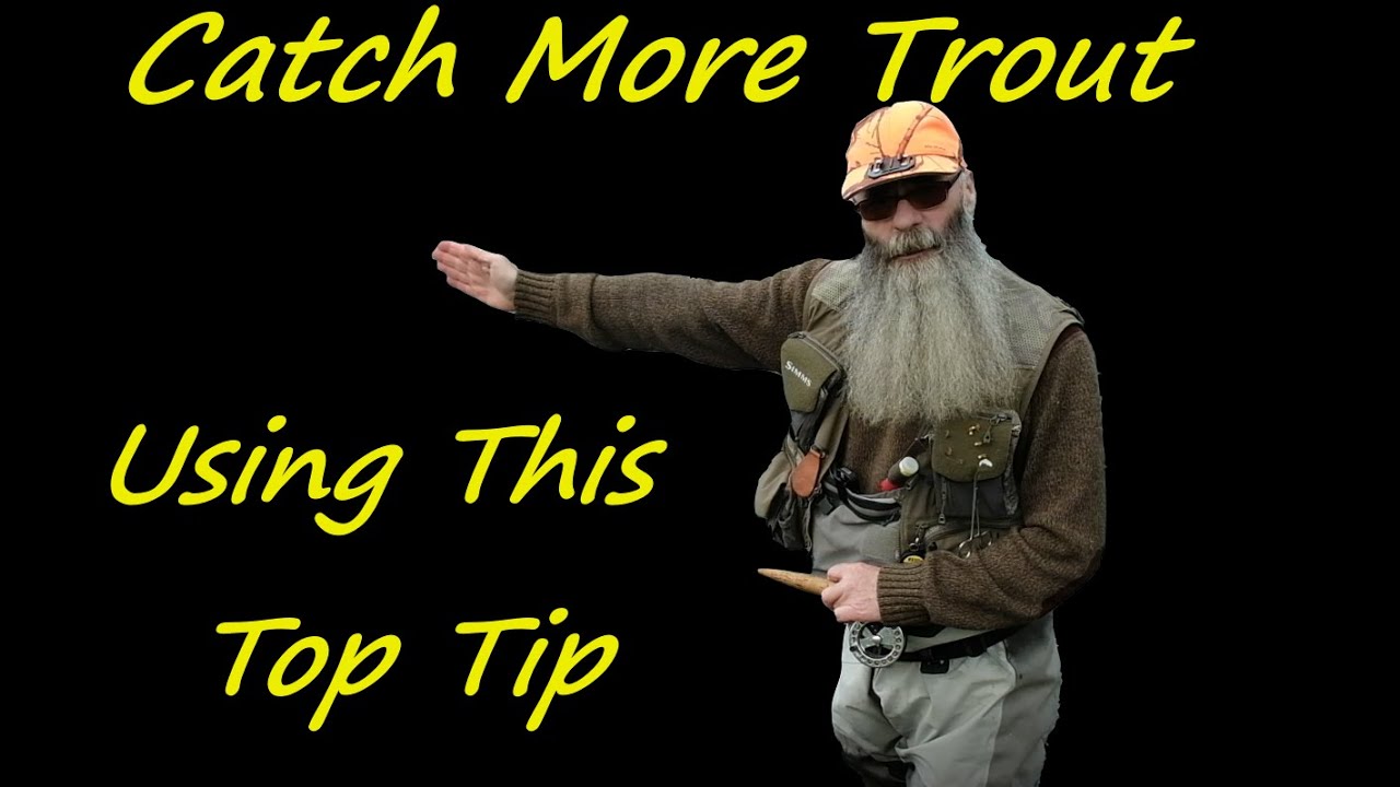 Maximise your dry fly hookups...Top tip.