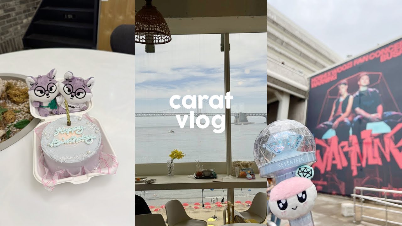 carat vlog💎 | hoshi woozi warning fancon in busan 🇰🇷🏖️, wonwoo's birthday cafes