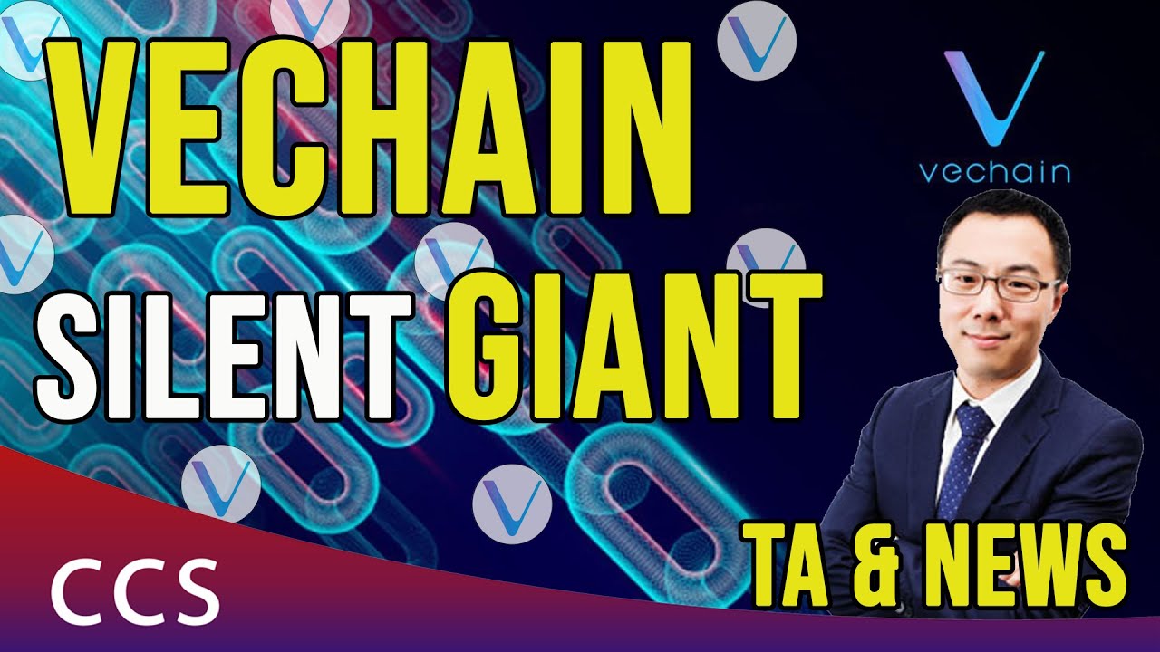 VeChain Chart Review and News of their Ecosystem. A Giant Project with Great Potential To The Top 10