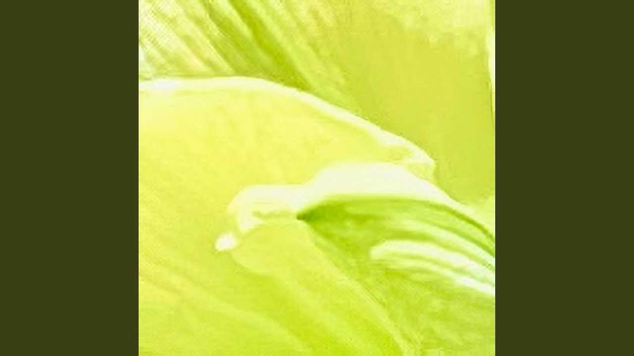 bloom