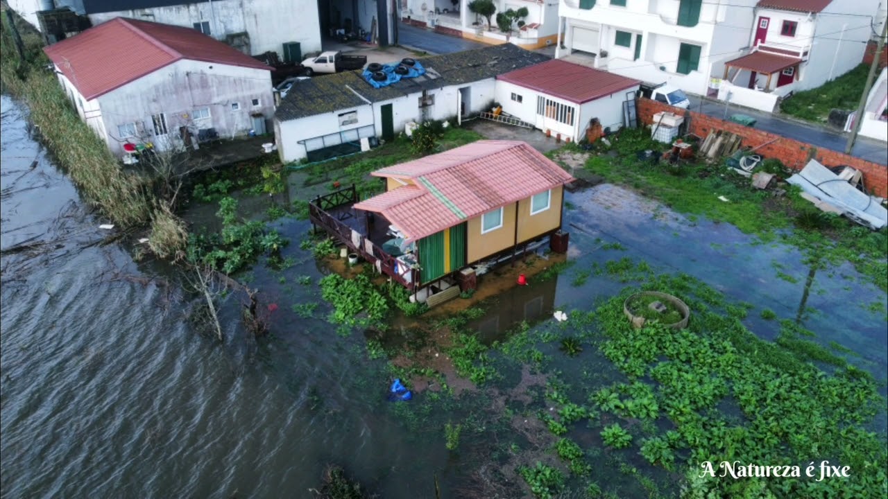 Outra vez arroz!! 