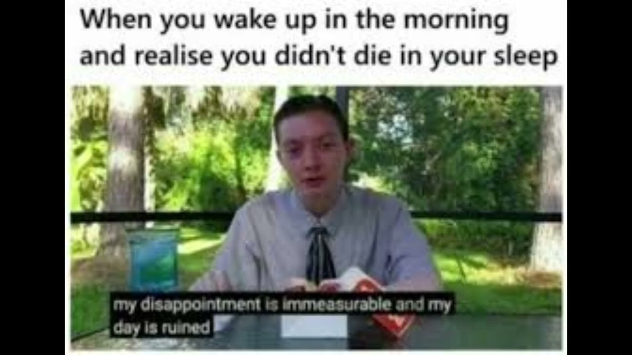More mems from around the internet