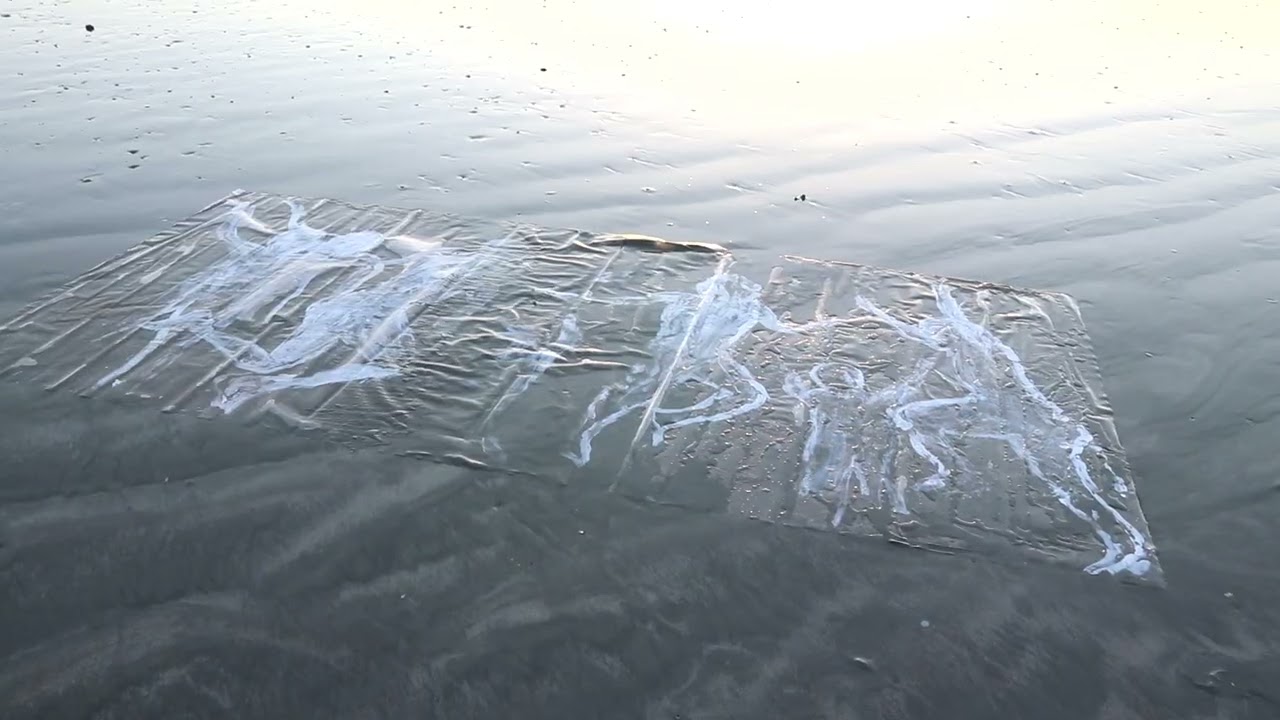 INÉS FONSECA SER AGUA
